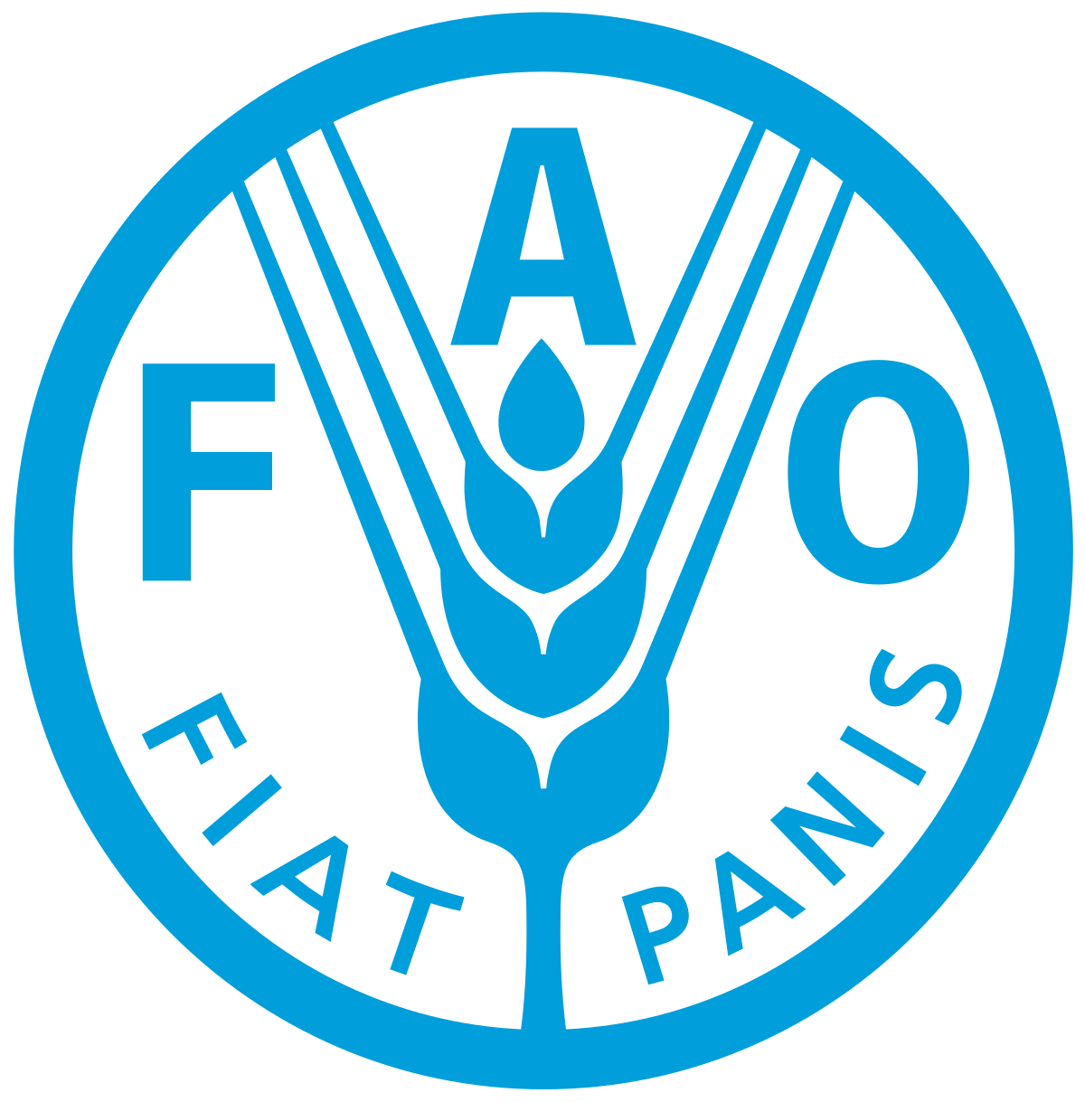 13 FAO